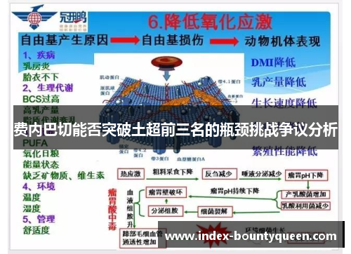 费内巴切能否突破土超前三名的瓶颈挑战争议分析